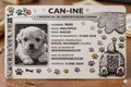 Can-INE