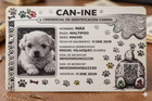 Can-INE